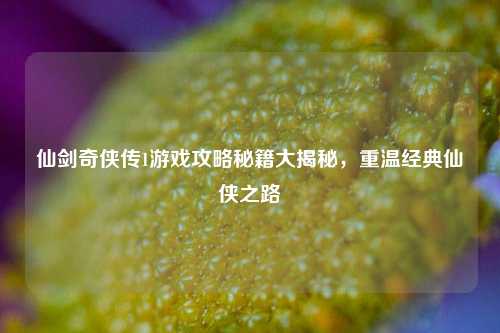 仙剑奇侠传1游戏攻略秘籍大揭秘,重温经典仙侠之路