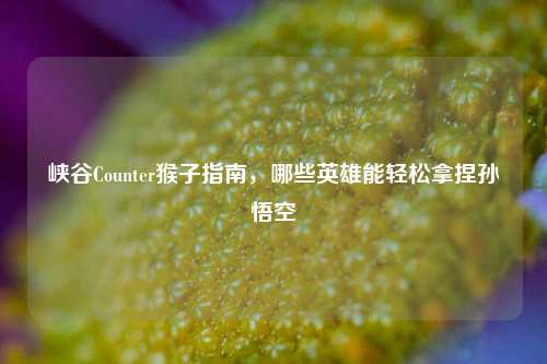 峡谷Counter猴子指南,哪些英雄能轻松拿捏孙悟空