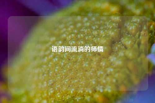 语韵间流淌的师情