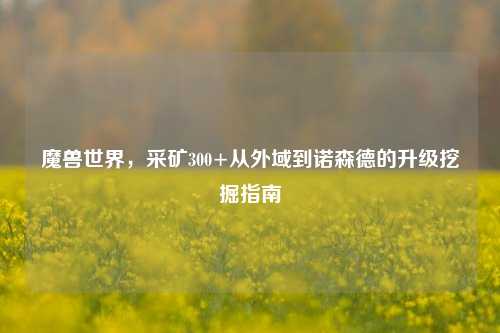 魔兽世界，采矿300+从外域到诺森德的升级挖掘指南