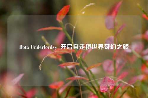 Dota Underlords,开启自走棋世界奇幻之旅