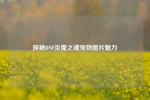 探秘DNF炎魔之魂宠物图片魅力