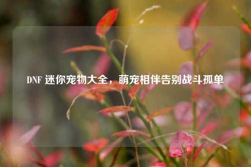 DNF 迷你宠物大全,萌宠相伴告别战斗孤单