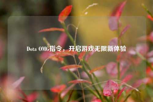 Dota OMG指令,开启游戏无限新体验