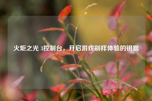 火炬之光 3控制台,开启游戏别样体验的钥匙