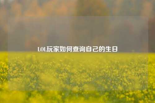 LOL玩家如何查询自己的生日