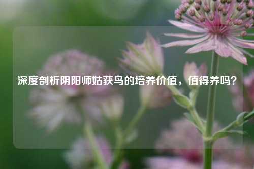 深度剖析阴阳师姑获鸟的培养价值,值得养吗?