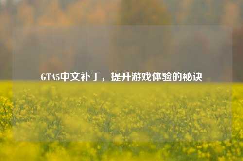 GTA5中文补丁，提升游戏体验的秘诀