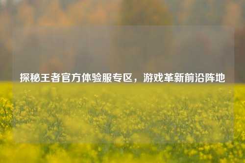 探秘王者官方体验服专区，游戏革新前沿阵地