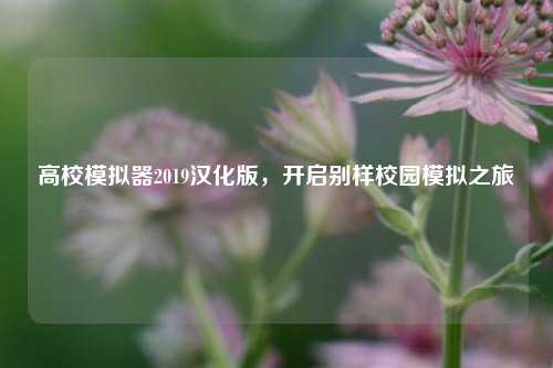 高校模拟器2019汉化版,开启别样校园模拟之旅