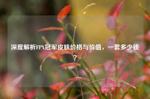 深度解析FPX冠军皮肤价格与价值,一套多少钱?