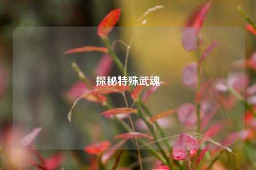 探秘特殊武魂