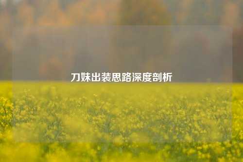 刀妹出装思路深度剖析