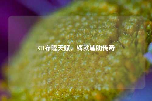 S11布隆天赋,铸就辅助传奇