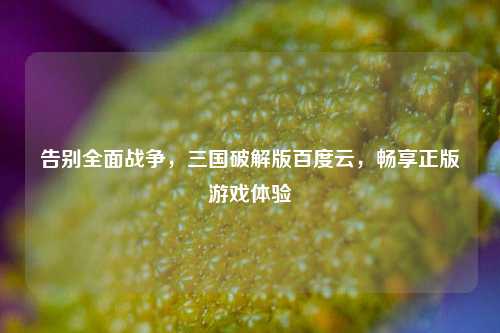 告别全面战争,三国破解版百度云,畅享正版游戏体验