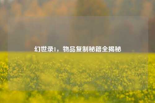 幻世录1,物品复制秘籍全揭秘
