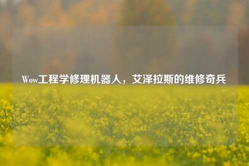 Wow工程学修理机器人,艾泽拉斯的维修奇兵