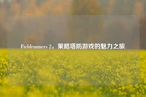 Fieldrunners 2，策略塔防游戏的魅力之旅
