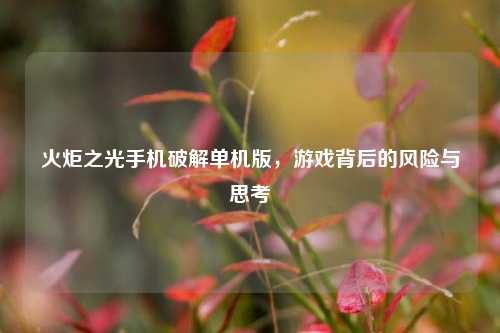 火炬之光手机破解单机版,游戏背后的风险与思考