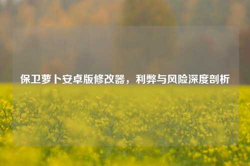 保卫萝卜安卓版修改器,利弊与风险深度剖析