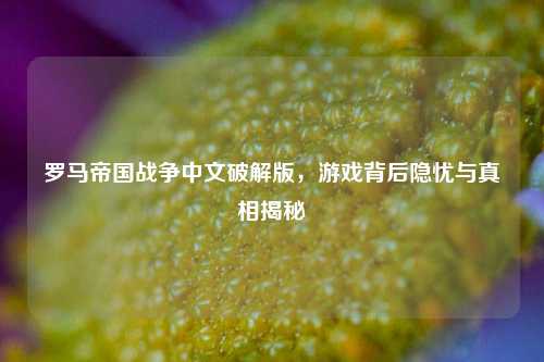 罗马帝国战争中文破解版,游戏背后隐忧与真相揭秘