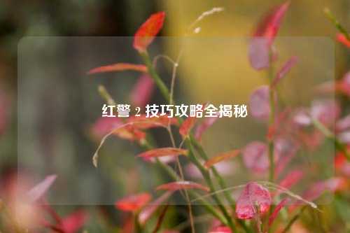红警 2 技巧攻略全揭秘