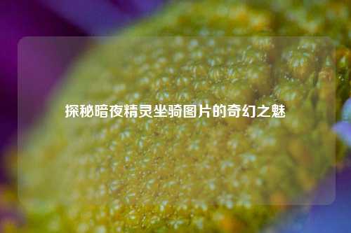 探秘暗夜精灵坐骑图片的奇幻之魅