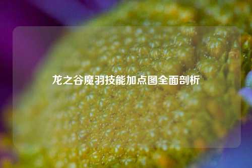 龙之谷魔羽技能加点图全面剖析