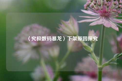 〈究极数码暴龙〉下架原因探究