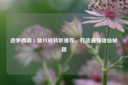 造梦西游 5 猪八戒转职推荐,打造最强猪仙秘籍