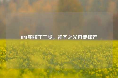 DNF帕拉丁三觉,神圣之光再绽锋芒