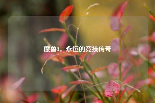 魔兽3，永恒的竞技传奇