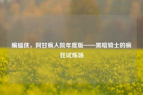 蝙蝠侠，阿甘疯人院年度版——黑暗骑士的疯狂试炼场