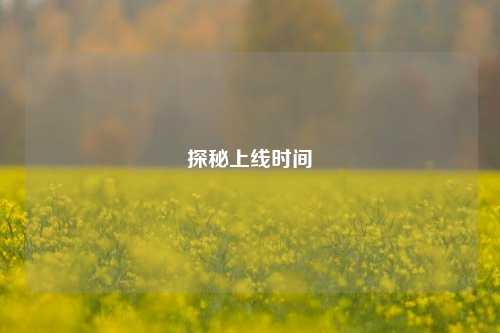 探秘上线时间