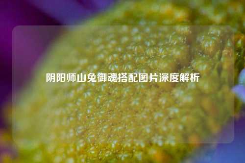 阴阳师山兔御魂搭配图片深度解析