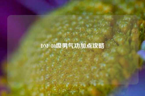 DNF 80级男气功加点攻略