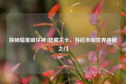 探秘暗黑破坏神3隐藏关卡,开启未知世界神秘之门