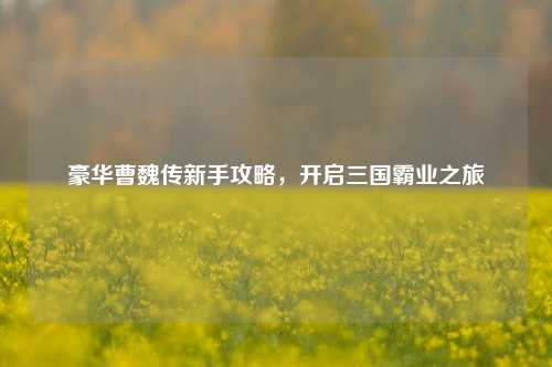 豪华曹魏传新手攻略,开启三国霸业之旅