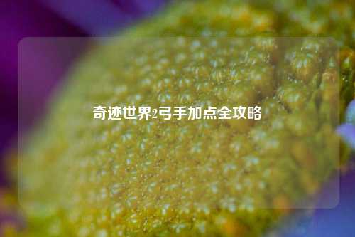 奇迹世界2弓手加点全攻略