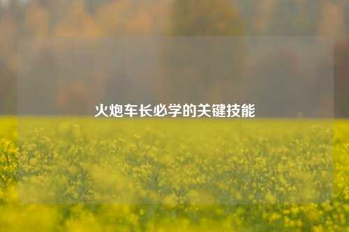 火炮车长必学的关键技能