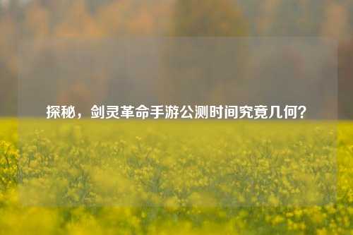 探秘，剑灵革命手游公测时间究竟几何？