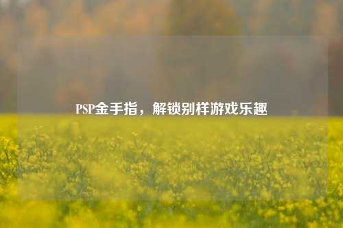 PSP金手指，解锁别样游戏乐趣
