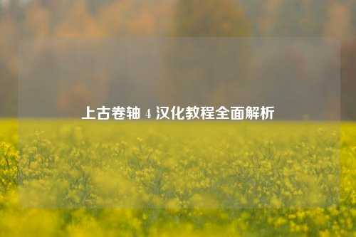 上古卷轴 4 汉化教程全面解析