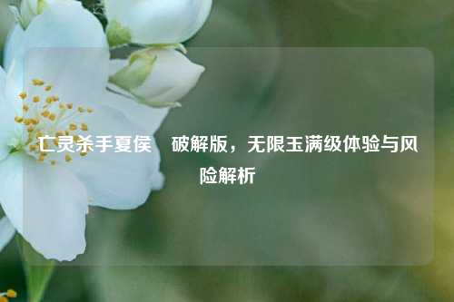 亡灵杀手夏侯惇破解版，无限玉满级体验与风险解析