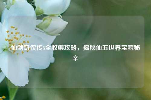 仙剑奇侠传5全收集攻略，揭秘仙五世界宝藏秘辛