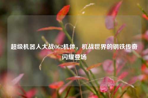 超级机器人大战OG2机体，机战世界的钢铁传奇闪耀登场