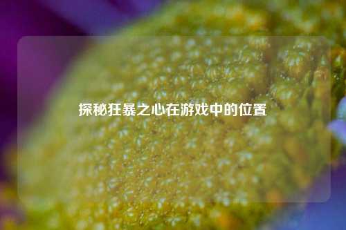 探秘狂暴之心在游戏中的位置