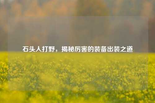 石头人打野,揭秘厉害的装备出装之道