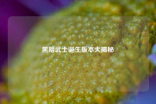 黑暗武士诞生版本大揭秘