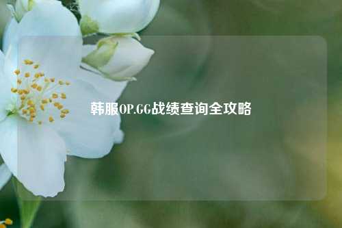 韩服OP.GG战绩查询全攻略